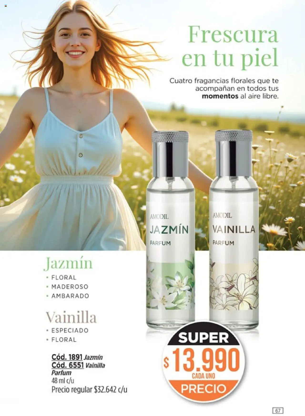 Catálogo Amodil Campaña 16 │ válido desde el 01.10.2025 | Página: 67 | Productos: Té