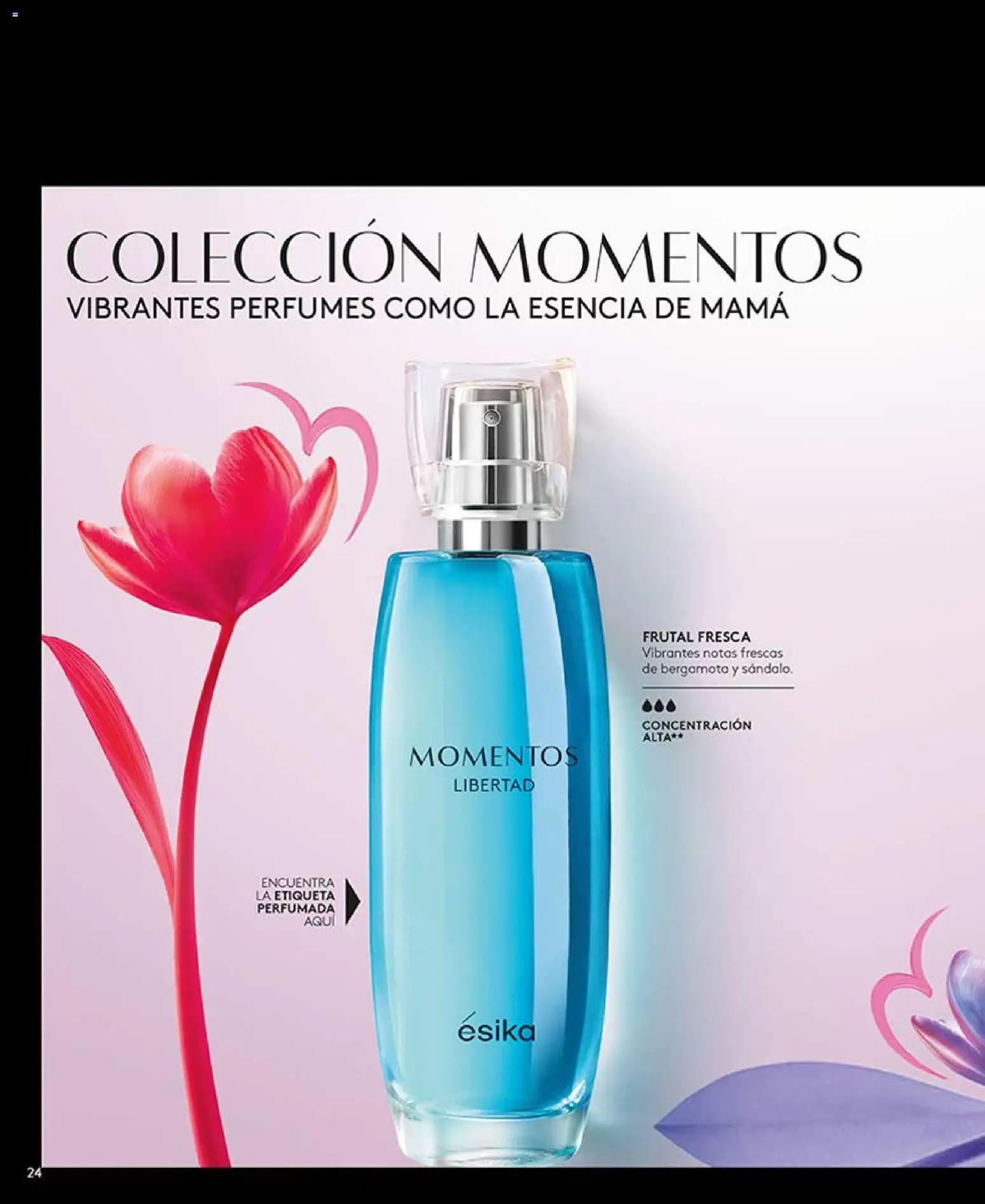 Catálogo Ésika Campaña 6 │ válido desde el 01.04.2026 | Página: 24