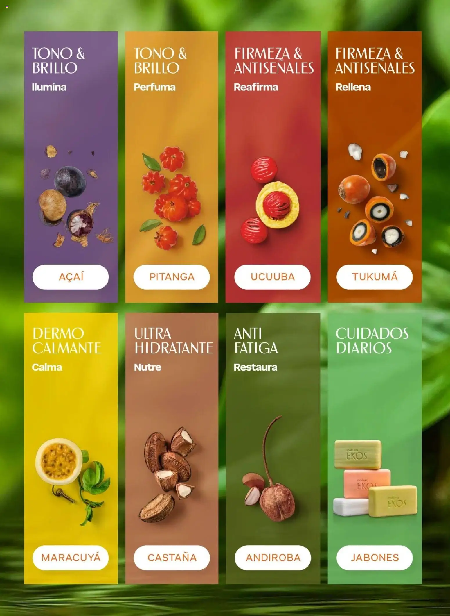 Natura catálogo  - Ciclo 6 del 31/03 ✨ Ahorre a lo grande con los folletos en línea! | Perú