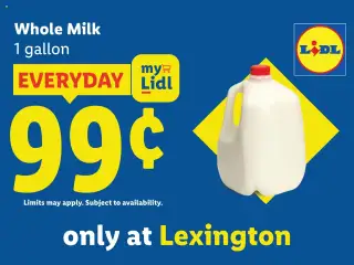 Preview of Lidl weekly ads valid from 20.08.2025