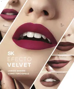 Violetta catálogo │ válido desde el 18.07.2025 | Página: 16