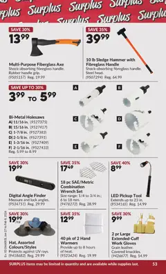 Preview of Princess Auto - 2 Week Sale! from shop Princess Auto valid from 27.01.2026 | Page: 61