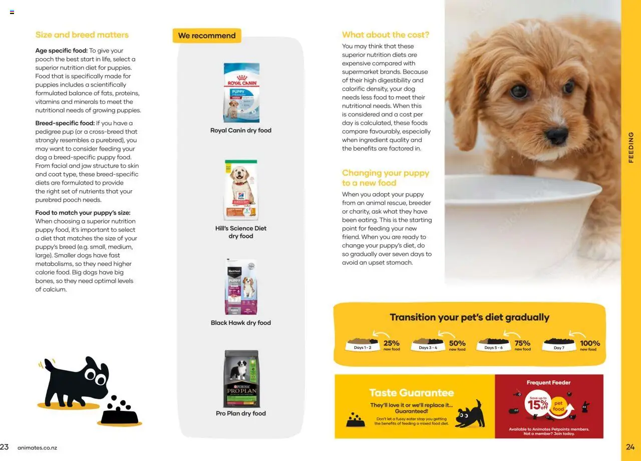 Animates catalogue from 01.01.2024 | Page: 13