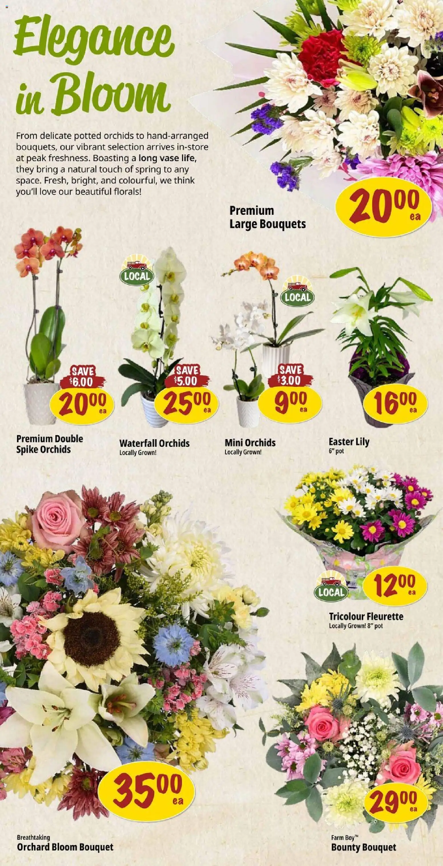 Farm Boy Flyer from Mar 26, 2026 - Unlock Huge Savings | Canada