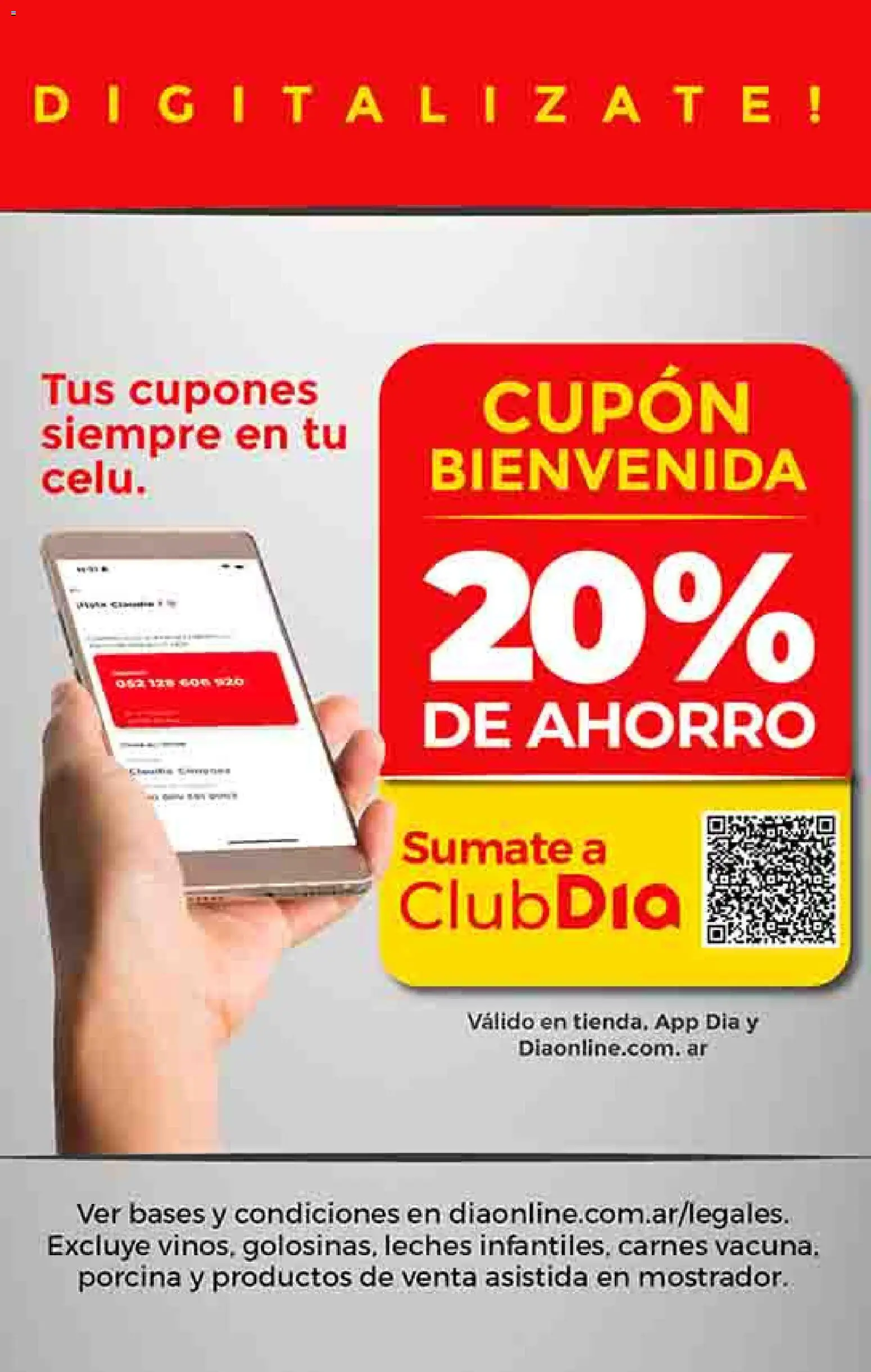 Dia - Ofertas - Salta y Jujuy │ válido desde el 17.12.2025 | Página: 23