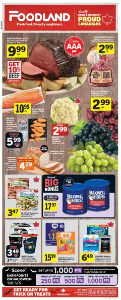 Preview of Foodland flyer - NS from shop Foodland valid from 23.10.2025