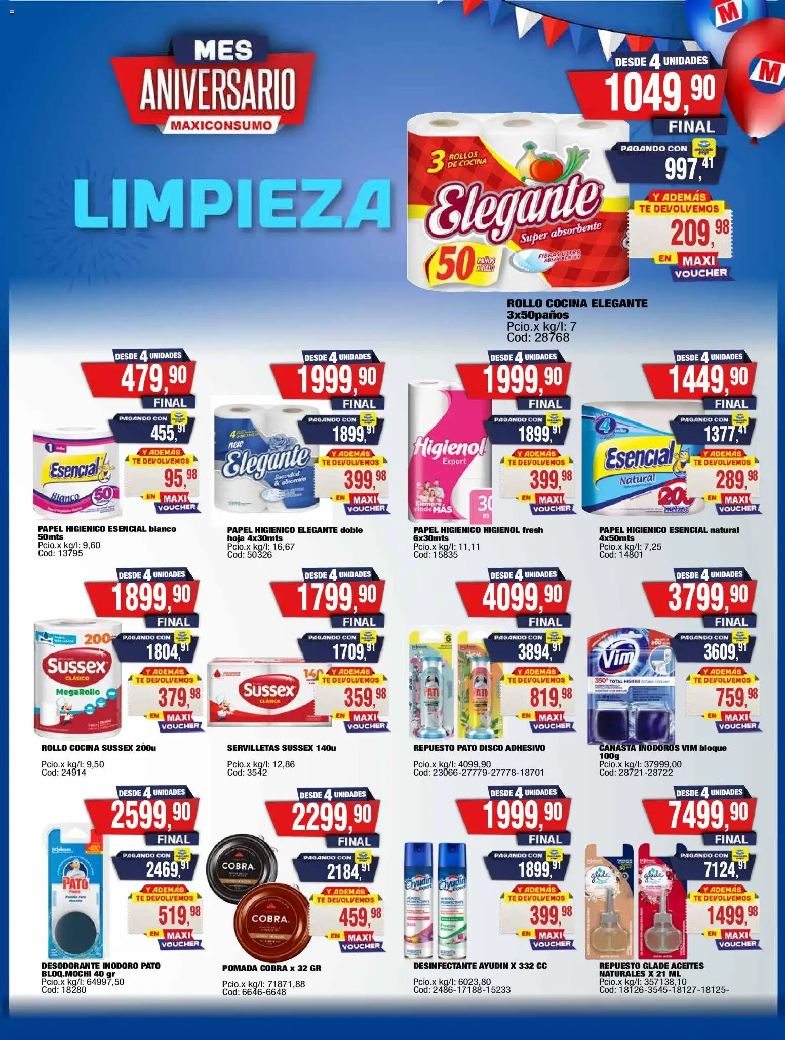 Maxiconsumo ofertas │ válido desde el 15.12.2025 | Página: 24 | Productos: Desinfectante, Pomada, Cocina, Canasta