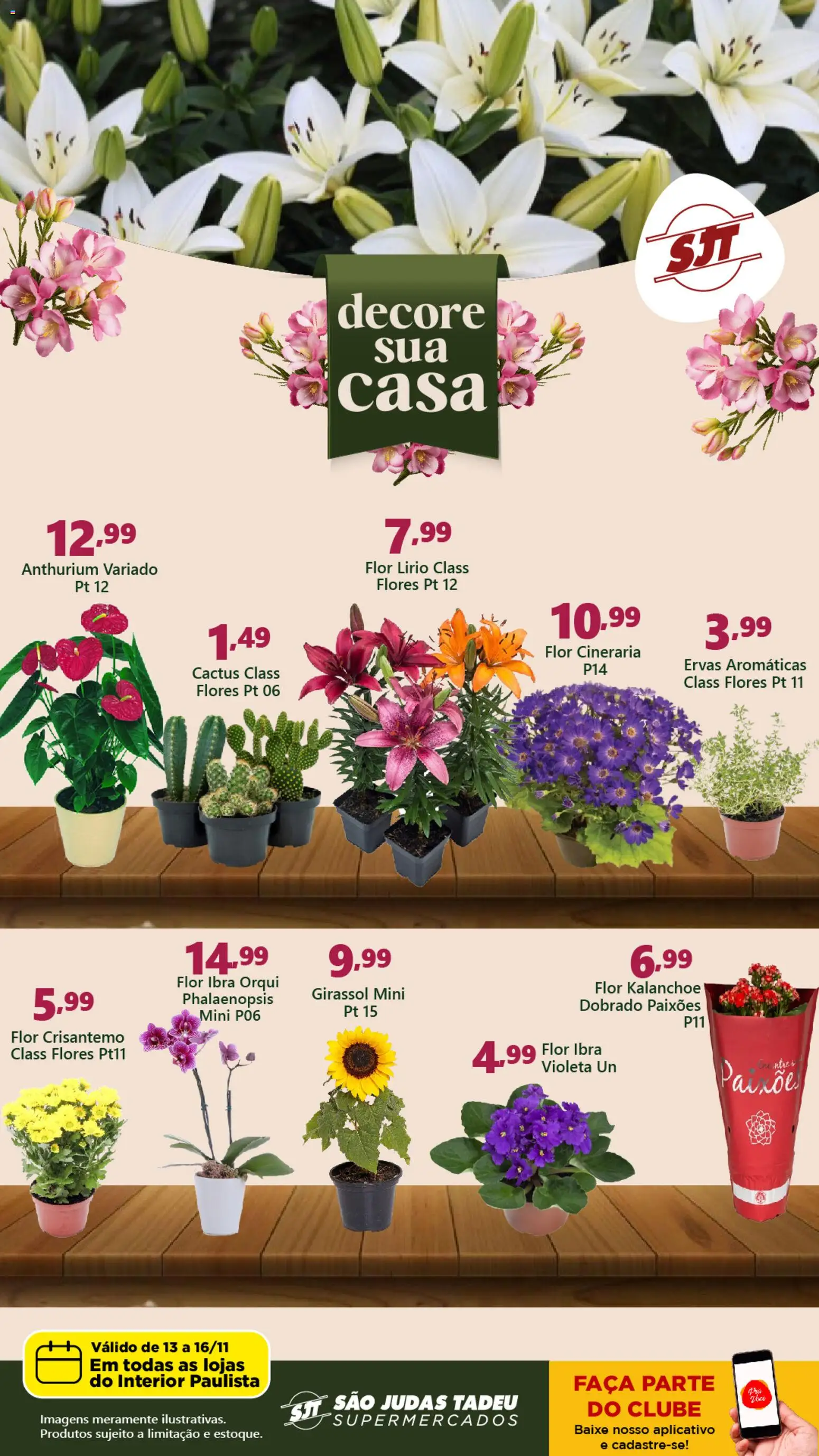 São Judas Tadeu Folheto - válido de 13.11.2025 | Página: 1 | Produtos: Flores, Faca