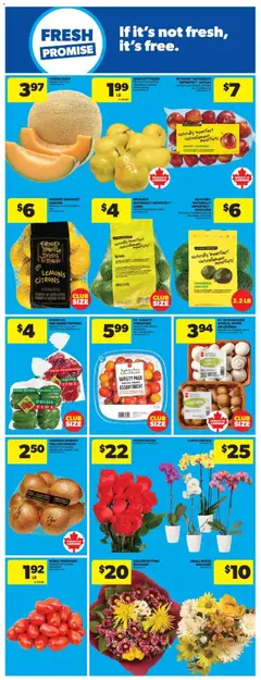 Preview of Real Canadian Superstore flyer - MB from shop Real Canadian Superstore valid from 30.10.2025 | Page: 17 | Products: PC, Apples, Tomatoes