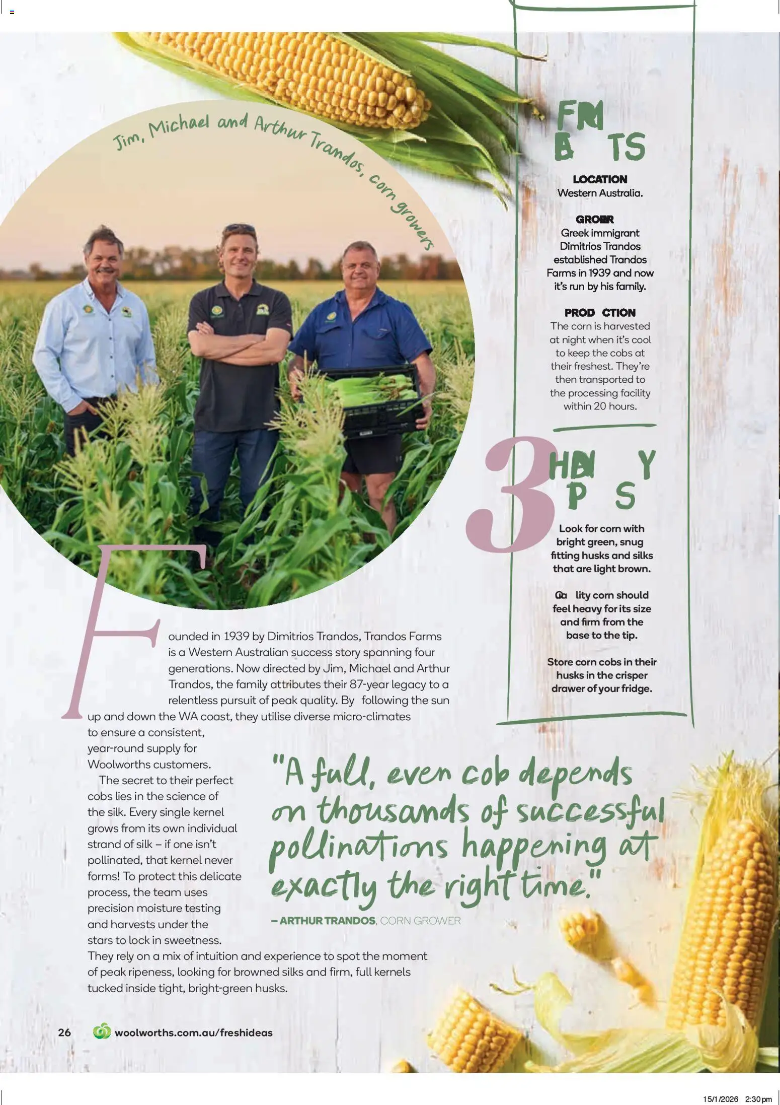 Woolworths catalogue - valid from 01.03.2026 | Page: 26 | Products: Drawer, Light