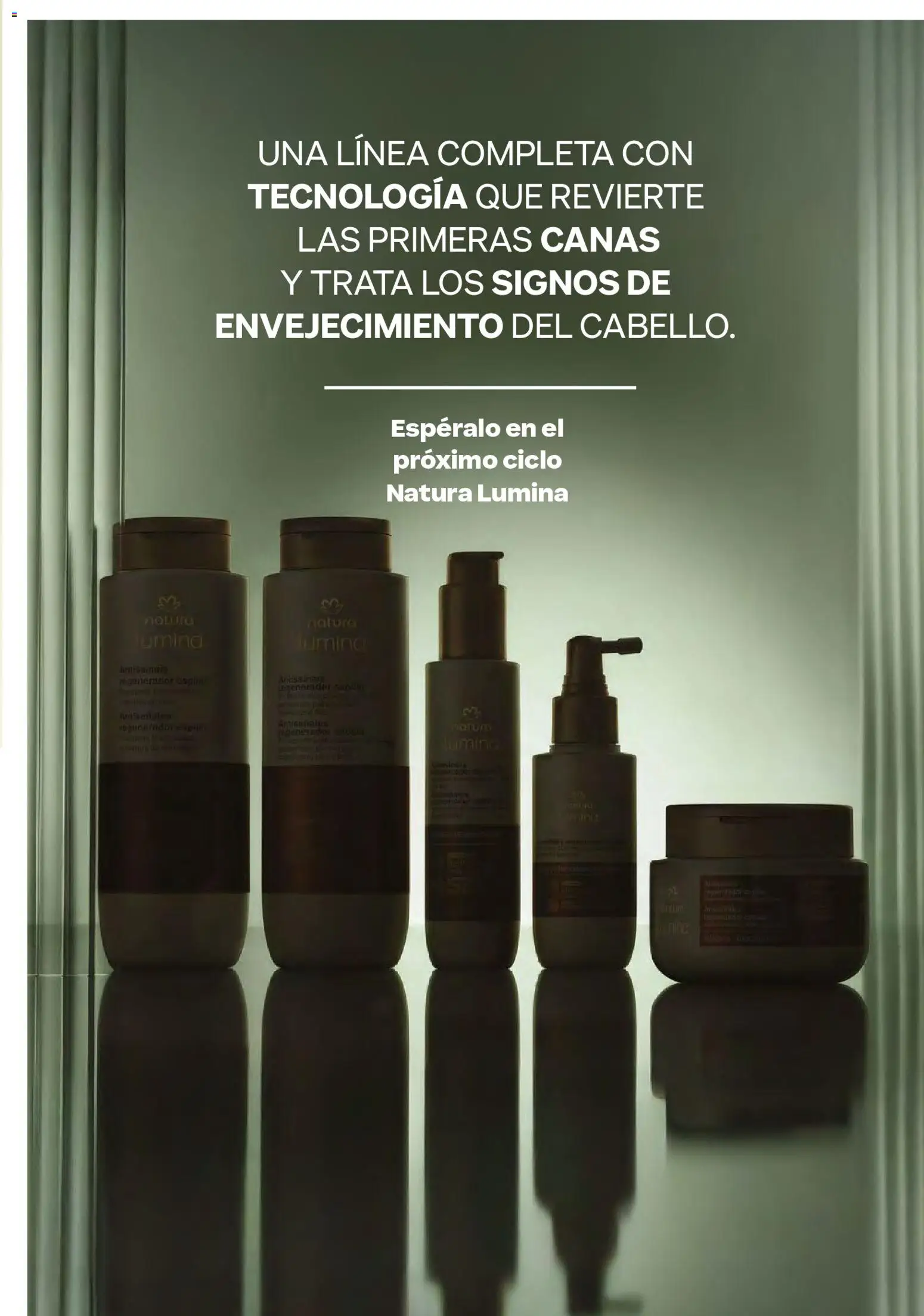 Natura catálogo _ ciclo 06 desde el 01/03/2026 > Promociones | Colombia