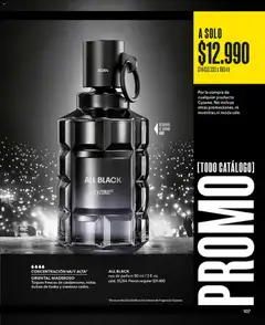 Catálogo CyZone Campaña 6 válido desde el 31.03.2026 | Página: 107