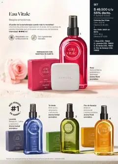 Yanbal revista - valida desde el 11.10.2025 | Página: 49 | Productos: Té, Jabón, Manteca