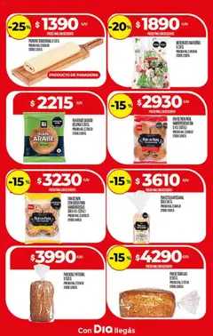 Vista previa Supermercado DIA Ofertas válido desde el 10.12.2025 | Página: 9