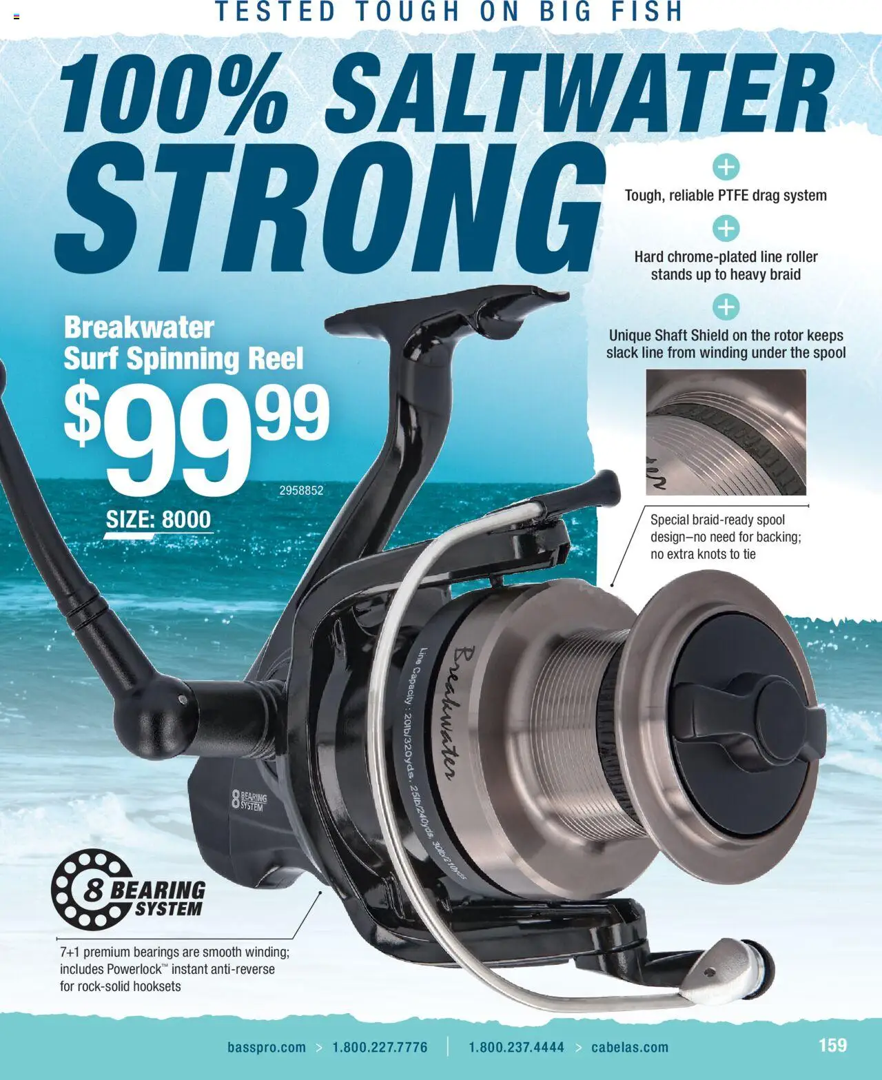 Cabela's Saltwater Specialist 25 - valid from 01.01.2025 | Page: 159 | Products: Fish, Bearings