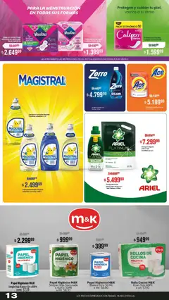 Vista previa Makro ofertas válido desde el 23.10.2025 | Página: 13 | Productos: Lavavajillas, Toallas, Detergente, Protectores diarios