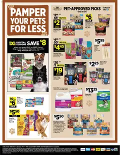 Preview of Dollar General weekly ads valid from 11.01.2026 | Page: 14