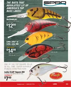 Preview of Cabela's weekly ads valid from 22.01.2026 | Page: 183