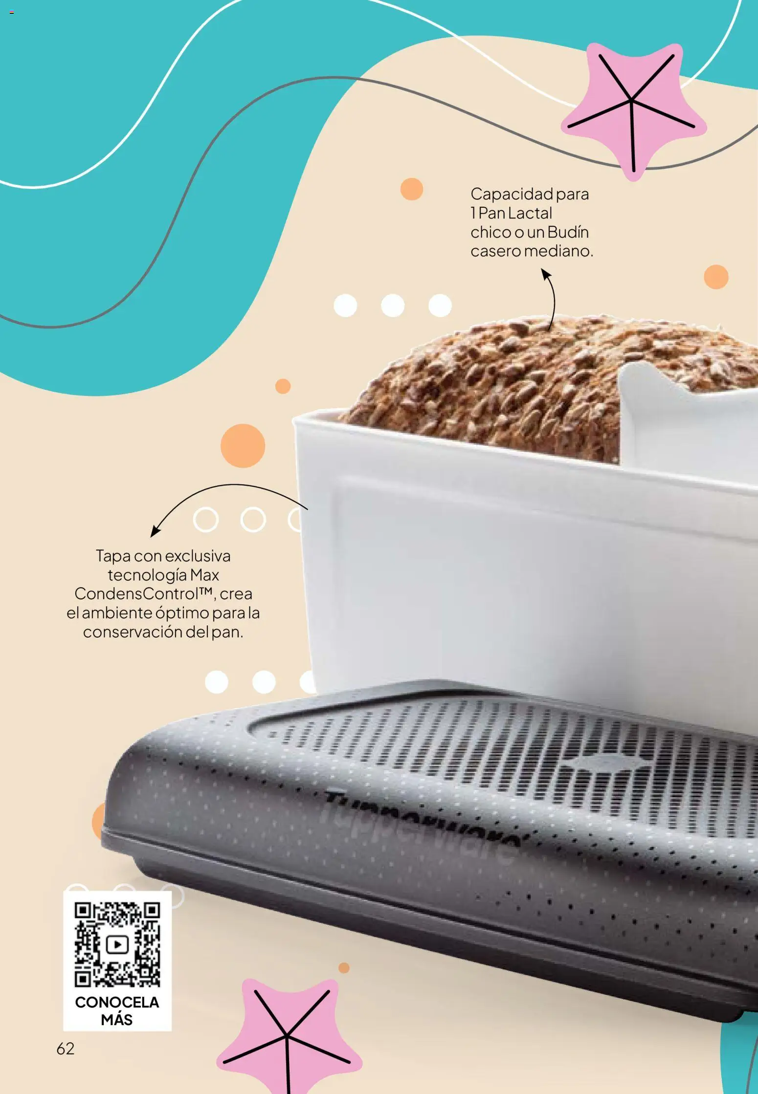 Tupperware Folleto de Campaña 2/2026 │ válido desde el 18.12.2025 | Página: 63 | Productos: Budín, Pan