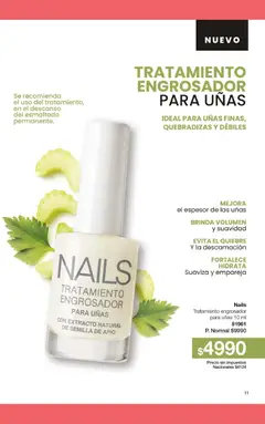 Vista previa Gigot - CAMPAÑA 05 válido desde el 28.02.2026 | Página: 17 | Productos: Apio