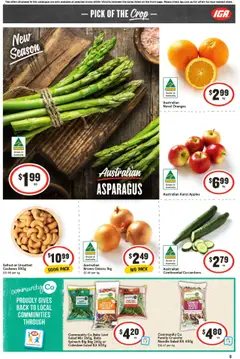 Preview of IGA Catalogue VIC - valid from 24.09.2025 | Page: 13