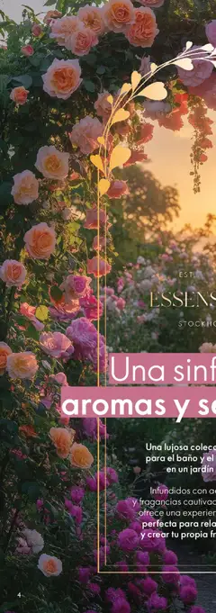 Vista previa de Oriflame campaña 6 2026, nuevo folleto de la tienda, válido en México a partir del 18.04.2026 | Página: 6