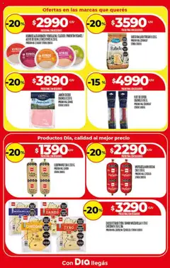 Supermercado DIA Ofertas │ válido desde el 13.08.2025 | Página: 11