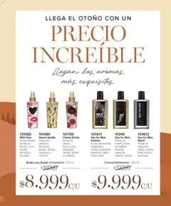 Vista previa Violetta - Violetta Cosméticos válido desde el 09.03.2026 | Página: 726