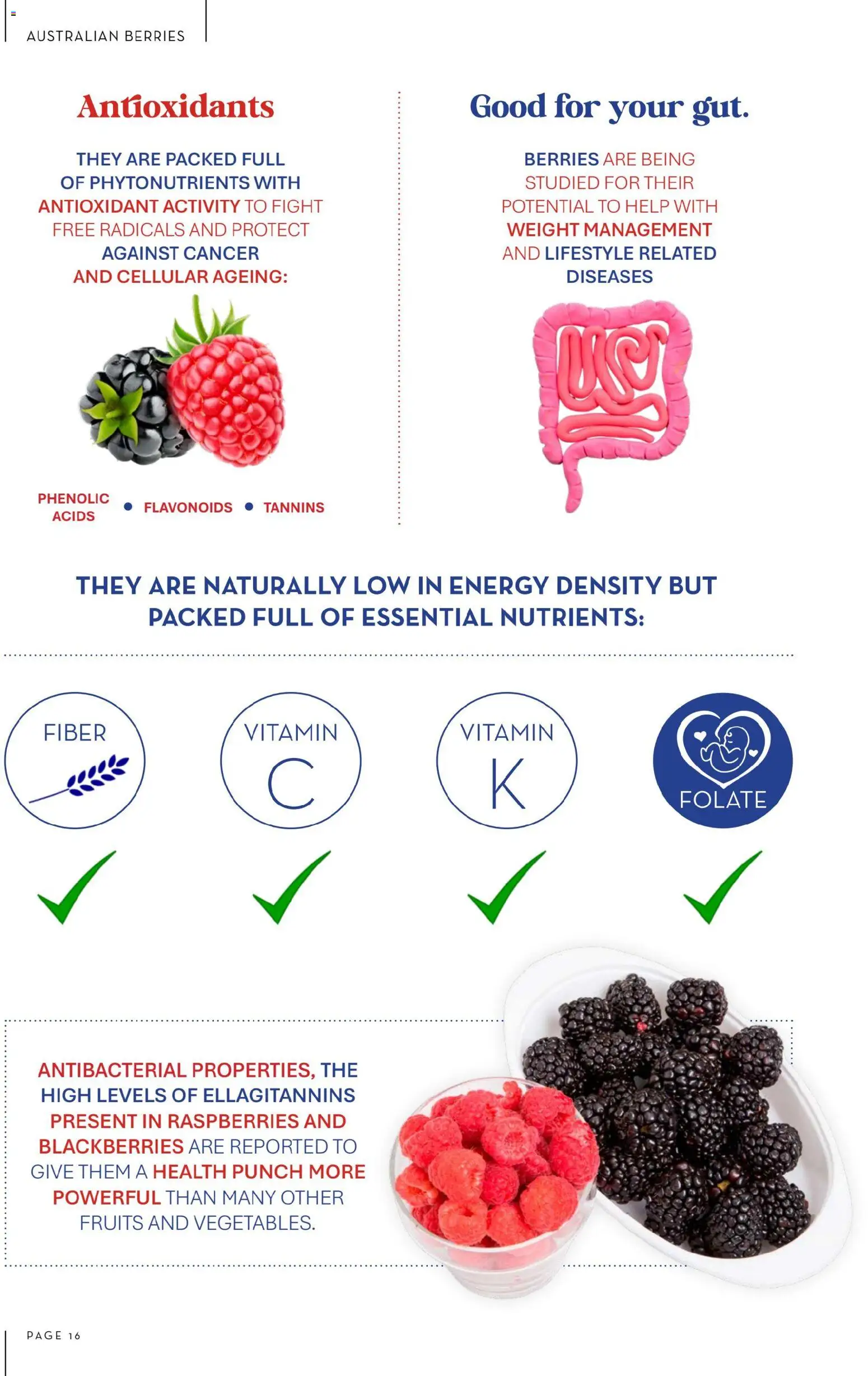 Foodworks catalogue - valid from 01.10.2025 | Page: 16 | Products: Fruits, Nutrients, Weight, Vitamin