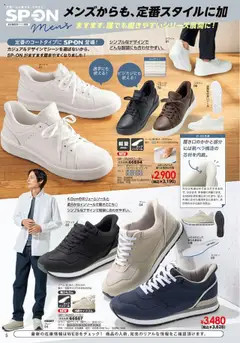 01.10.2025から有効なオファーを含む ヒラキ - Exciting Price 3712 | ページ: 6 | 製品: インソール