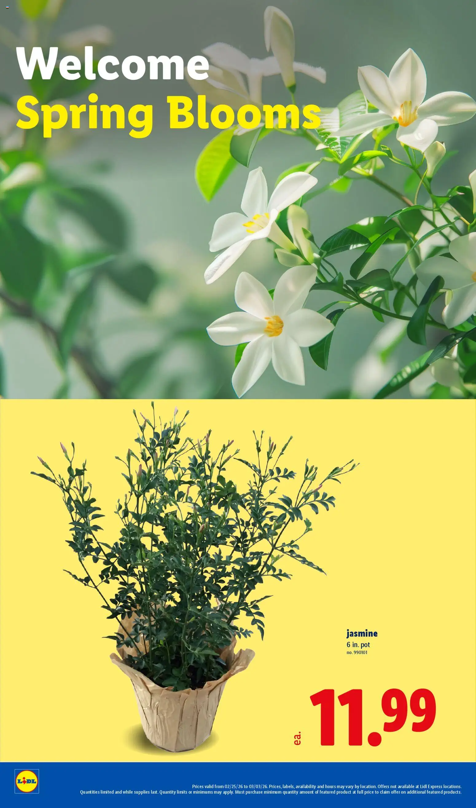 Lidl Weekly Ad - valid from 25.02.2026 | Page: 20