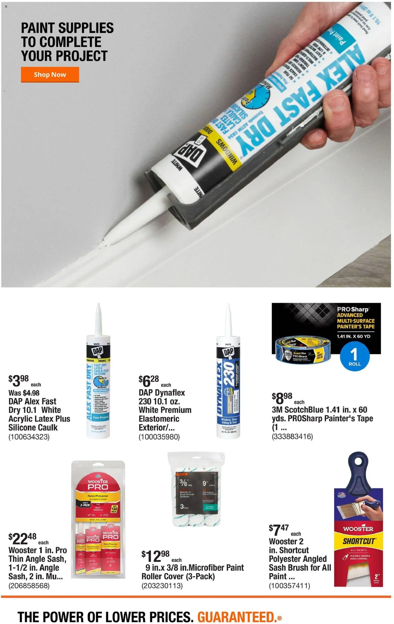 Home Depot Weekly Ad - FL - valid from 25.12.2025 | Page: 6 | Products: Sealant, Acrylic, Brush, Water