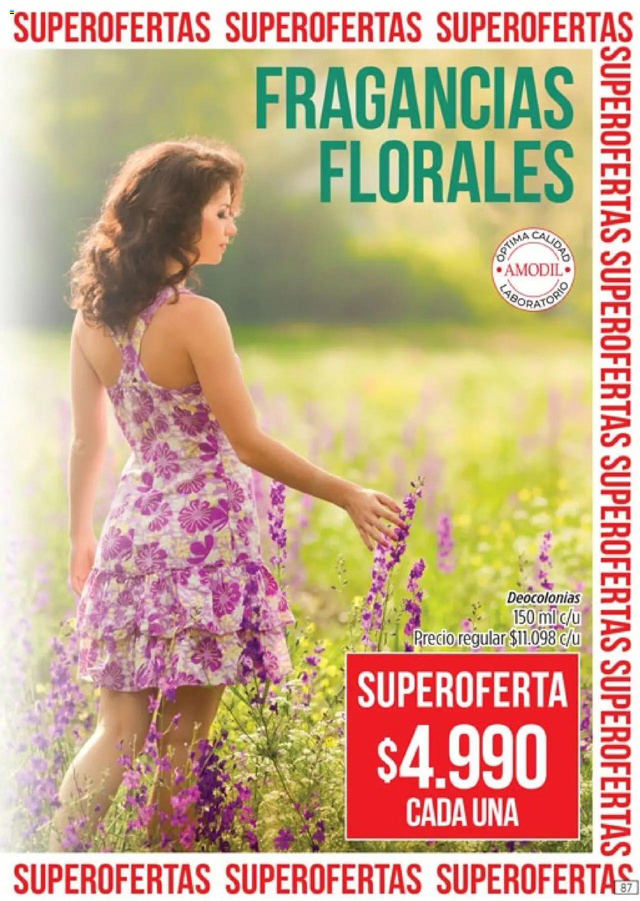 Catálogo Amodil Campaña 16 │ válido desde el 01.10.2025 | Página: 87