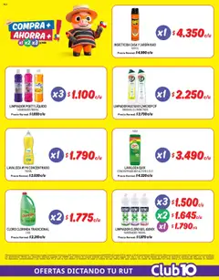 Mayorista 10 catálogo │ válido desde el 20.08.2025 | Página: 14 | Productos: Limón, Limpiador, Cloro, Insecticida