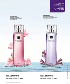 Vista previa de folleto L'Bel - Campaña 2 de la L'Bel válido desde 27.12.2025 | Página: 95 | Productos: Almendras