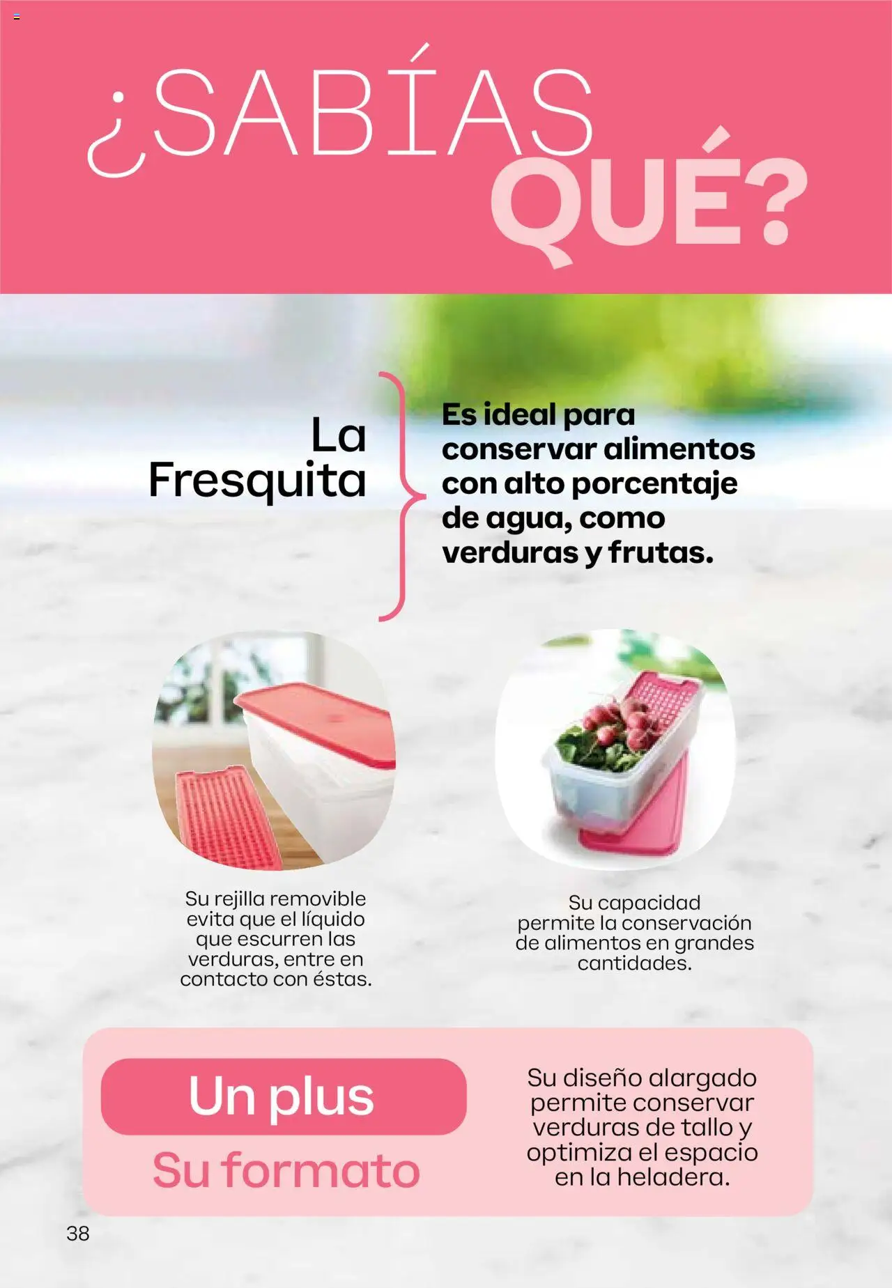 Tupperware - Campaña 17/2025 │ válido desde el 13.10.2025 | Página: 39 | Productos: Rejilla