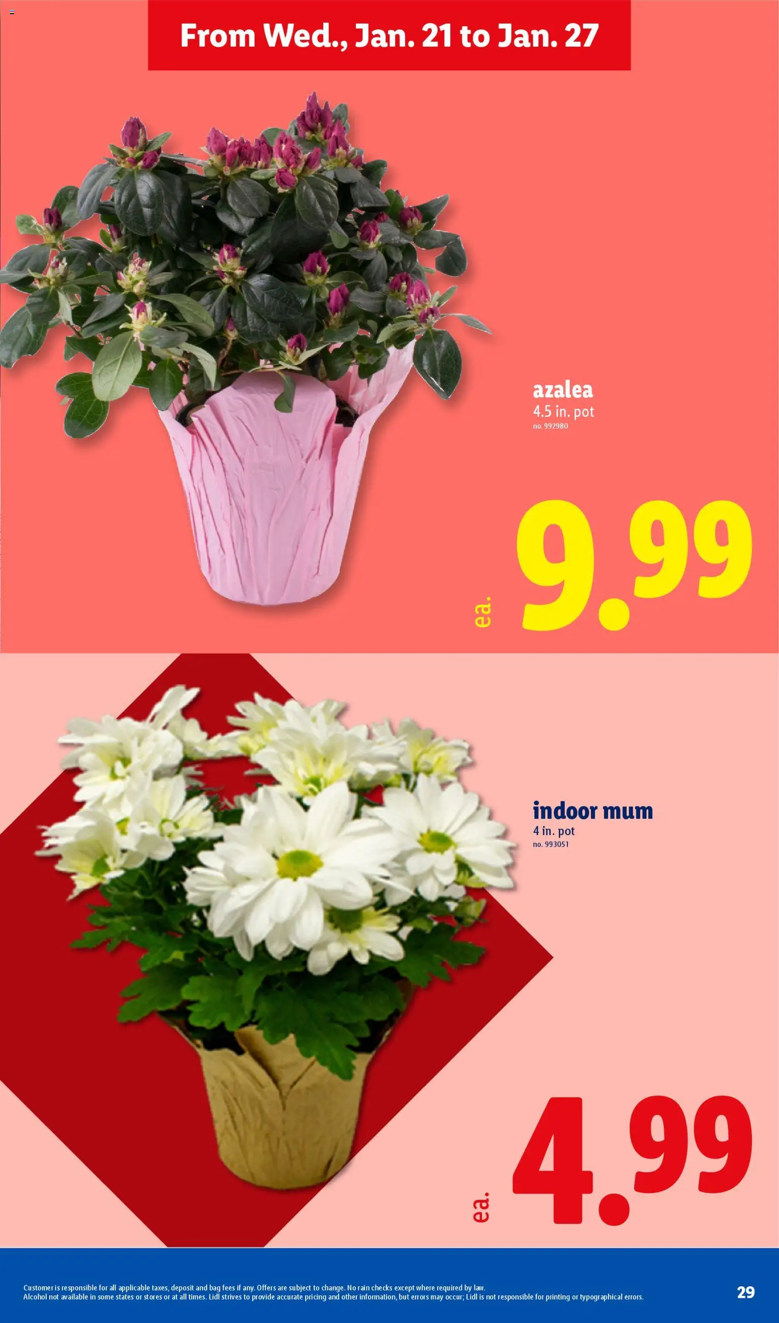 Lidl Weekly Ad - valid from 21.01.2026 | Page: 29 | Products: Bag