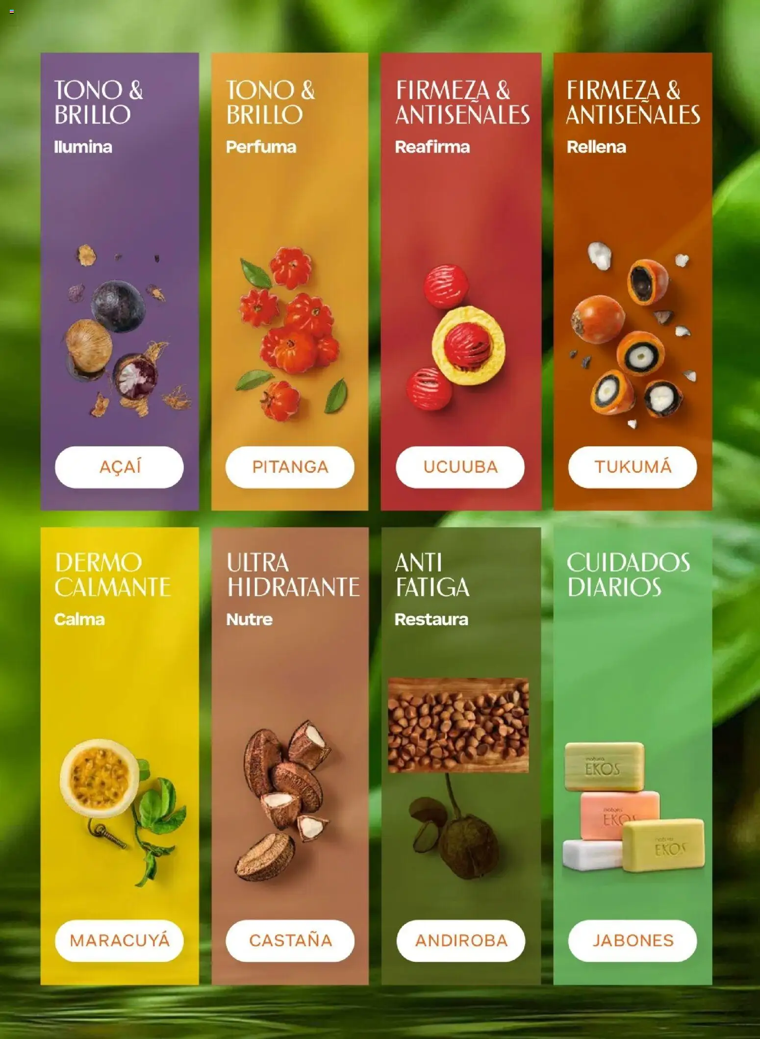 Catálogo Natura válido desde 10.03.2026 | Página: 113