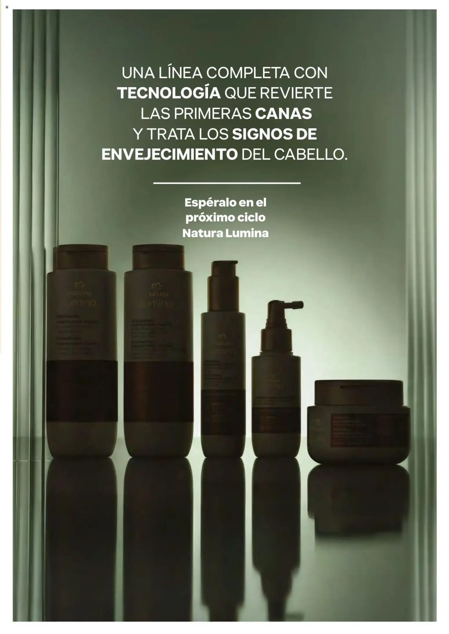 Natura revista - valida desde el 01.04.2026 | Página: 152