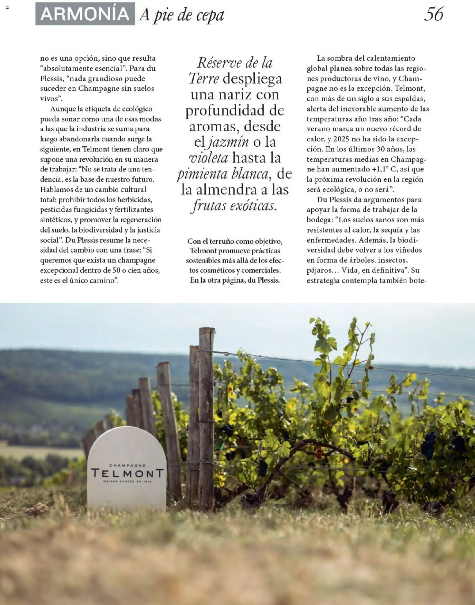 Nuevas ofertas de El Corte Inglés válidas en toda la República Mexicana desde el 11.12.2025. ¡Encuentra las mejores ofertas en El Corte Inglés catálogo Gourmet! | Página: 56 | Productos: Champagne, Almendra, Sombra, Sobre