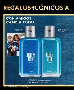 Catálogo CyZone Campaña 7 válido desde el 18.04.2026 | Página: 26 | Productos: Fresas