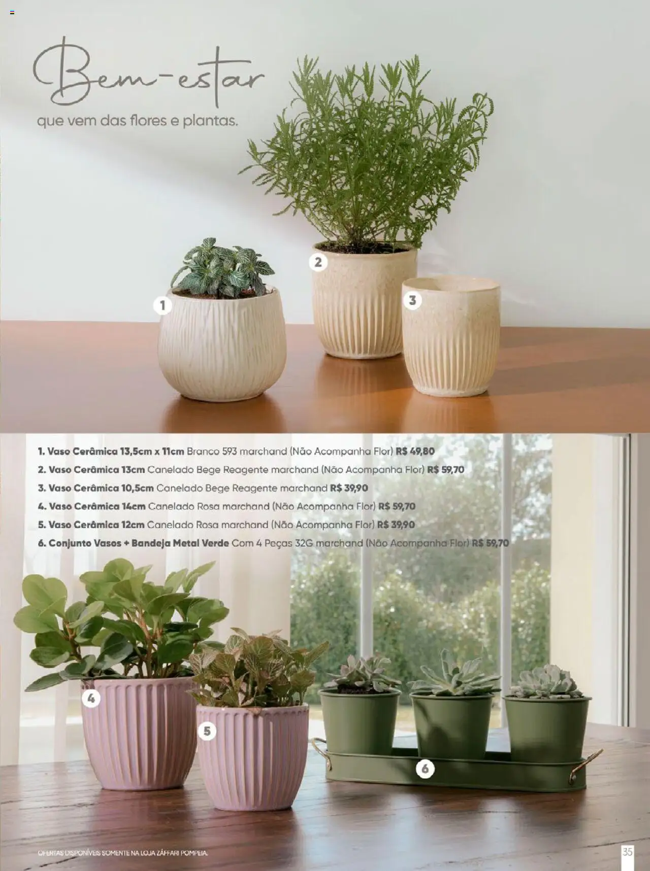Zaffari Folheto - válido de 09.06.2025 | Página: 35 | Produtos: Flores, Vaso, Bandeja