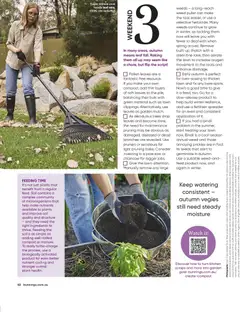 Preview of Catalogue Bunnings Warehouse March - valid from 01.03.2026 | Page: 42