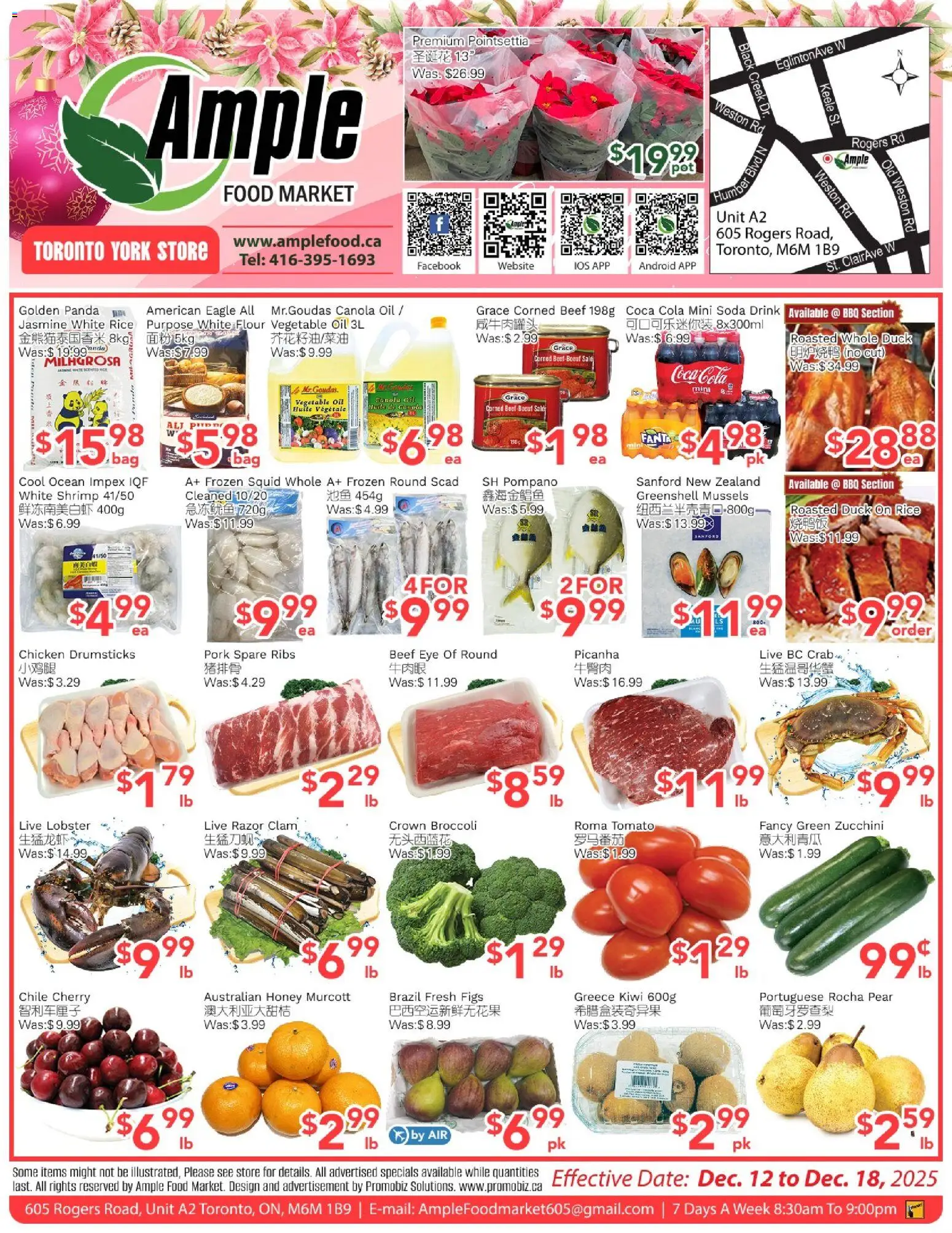 Ample Food Market flyer valid from 12.12.2025 | Page: 1 | Products: Rice, Beef, Oil, Chicken
