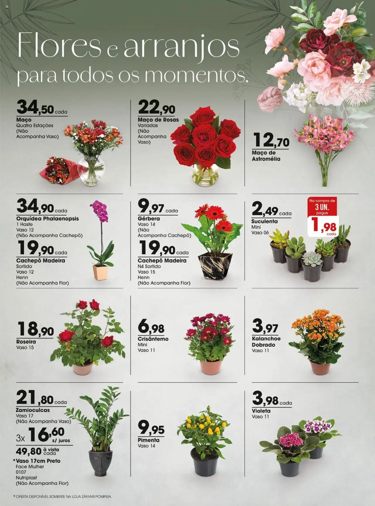 Zaffari Folheto - válido de 09.09.2025 | Página: 19 | Produtos: Pimenta, Flores, Vaso