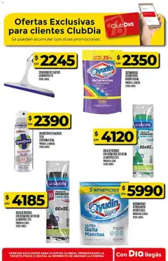 Vista previa Supermercado DIA Ofertas válido desde el 14.01.2026 | Página: 49 | Productos: Desinfectante, Bolsa, Polvo, Quitamanchas