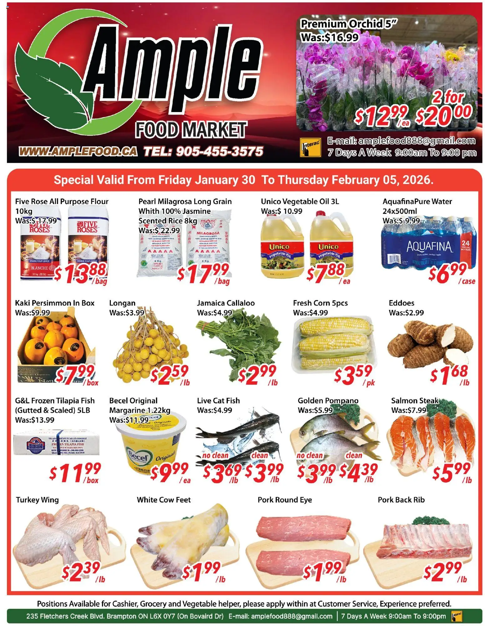Ample Food Market flyer valid from 30.01.2026 | Page: 1 | Products: Fish, Case, Oil, Pork