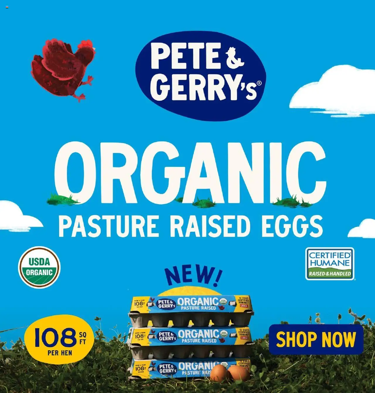 Lowes Foods Weekly Ad - GA - valid from 15.10.2025 | Page: 3 | Products: Eggs