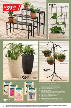 Aldi catalogue - valid from 24.09.2025 | Page: 4