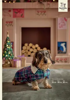 Vista previa de El Corte Inglés catálogo Mascota , nuevo folleto de la tienda, válido en México a partir del 01.11.2025 | Página: 7 | Productos: Abrigo